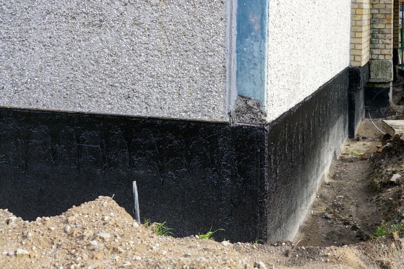 Wet Basement Repair in Fort Collins, CO